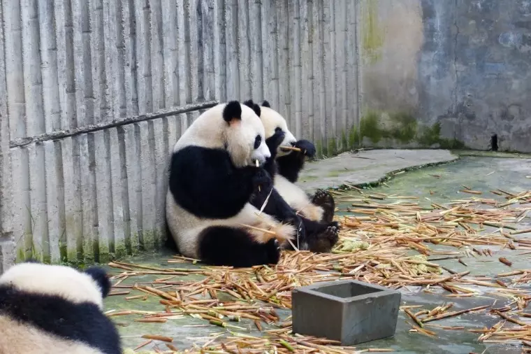 ブランシュール東海「日本神話にまつわる【再婚】で有名な神社」- 2