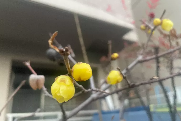 婚活したい。でも勇気が出ないあなたへ