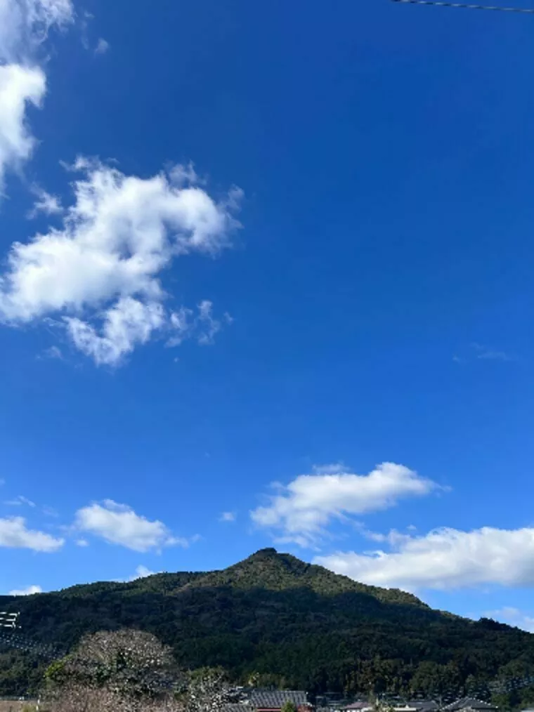 無理をしない婚活を一緒にしませんか🌸