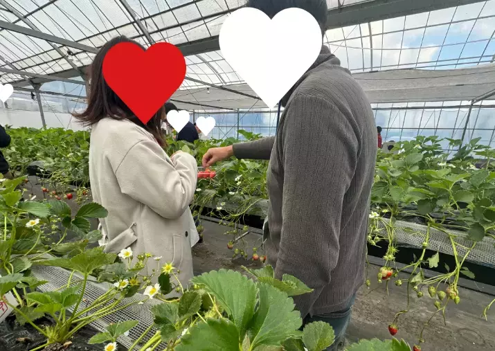 結婚相談所aicom「【イベント】農家に恋するえんむす日」- 6