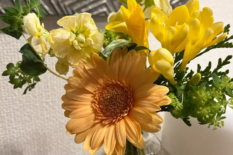 結婚相談所に遊びに来てください🌸