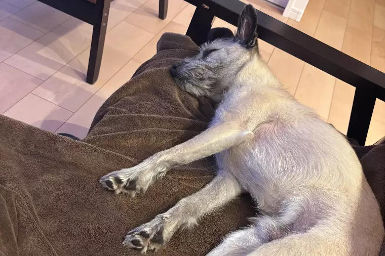 ✨ 婚活と恋愛はちがう？！