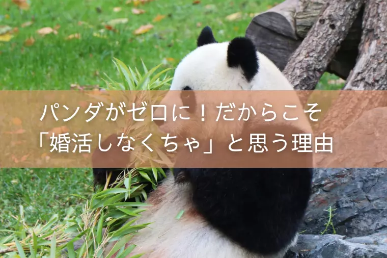 パンダがゼロに！だからこそ「婚活しなくちゃ」と思う理由