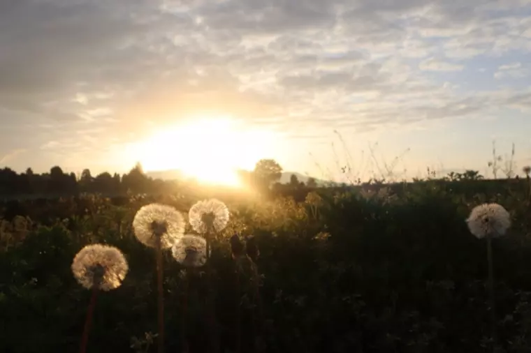 3分で変わる朝習慣 ！　未来の結婚準備！！