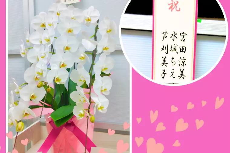 大先輩からお祝いのお花が届きました💖✨