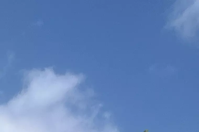 もう結婚のこと考えるのめんどくさい～してもしなくてもいい