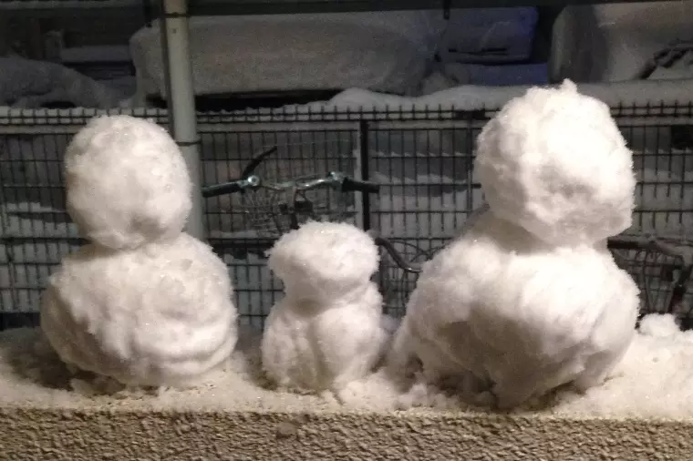 寒い日が続いております