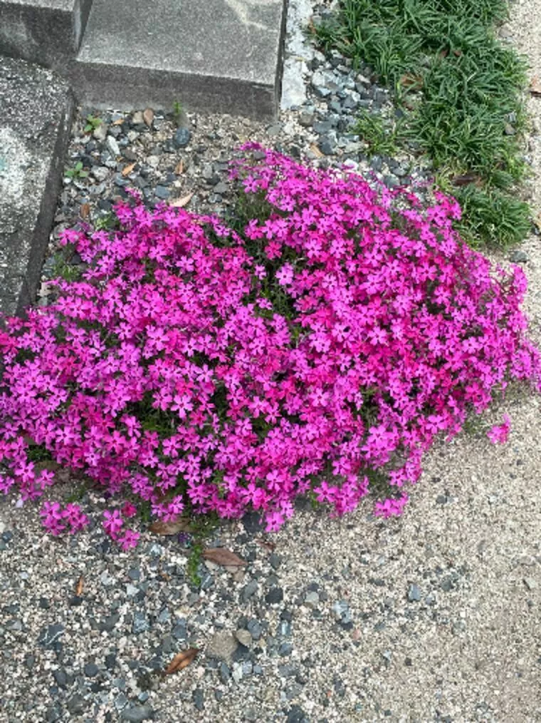 出会いのきっかけを作っていくことが大切です🍀