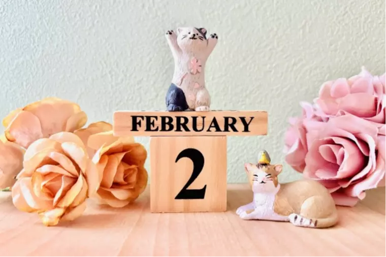 動けなかった一月、二月から仕切り直し