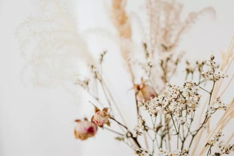 まだ相談所に行くほどじゃない、と思っているあなたへ