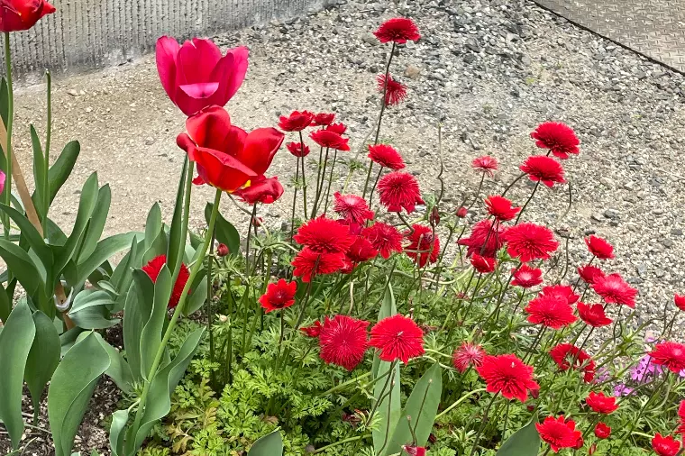 婚活に疲れていませんか？(・・;)