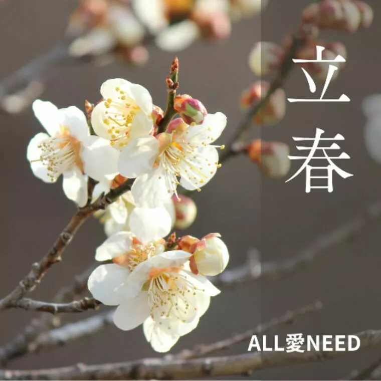 考えているだけの一年を、今年で終わらせませんか