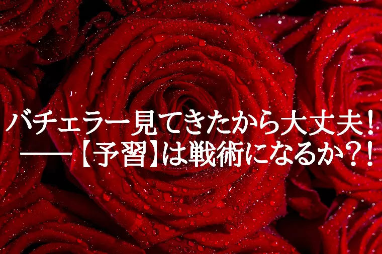 バチェラー見てきたから大丈夫！【予習】は戦術になるか？！