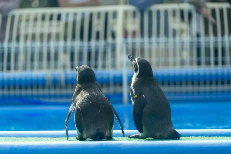 ブランシュール東海「お見合いで面接感を出さないようにするために！」- 2