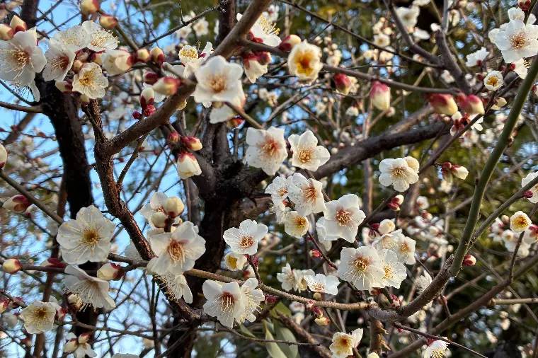 春は出会いが多くなります👨‍❤️‍👨