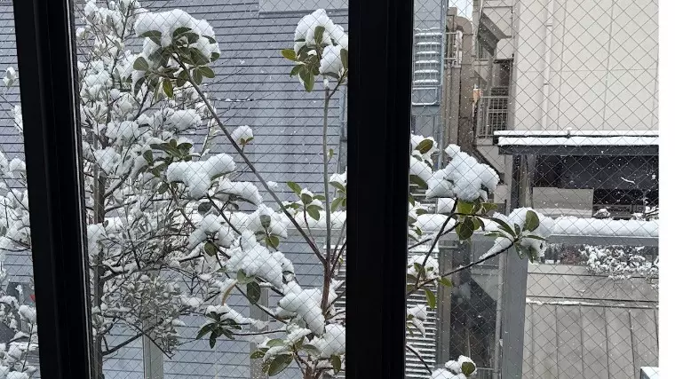 EliYume結婚相談所「【映えごはん】婚活お料理教室を開催しました！」- 2