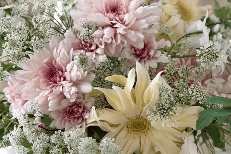 39歳女。就職活動をしたら、婚活と似ていると思った話