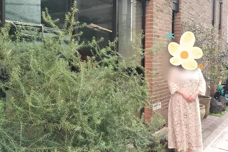 ！自分磨きの結果！