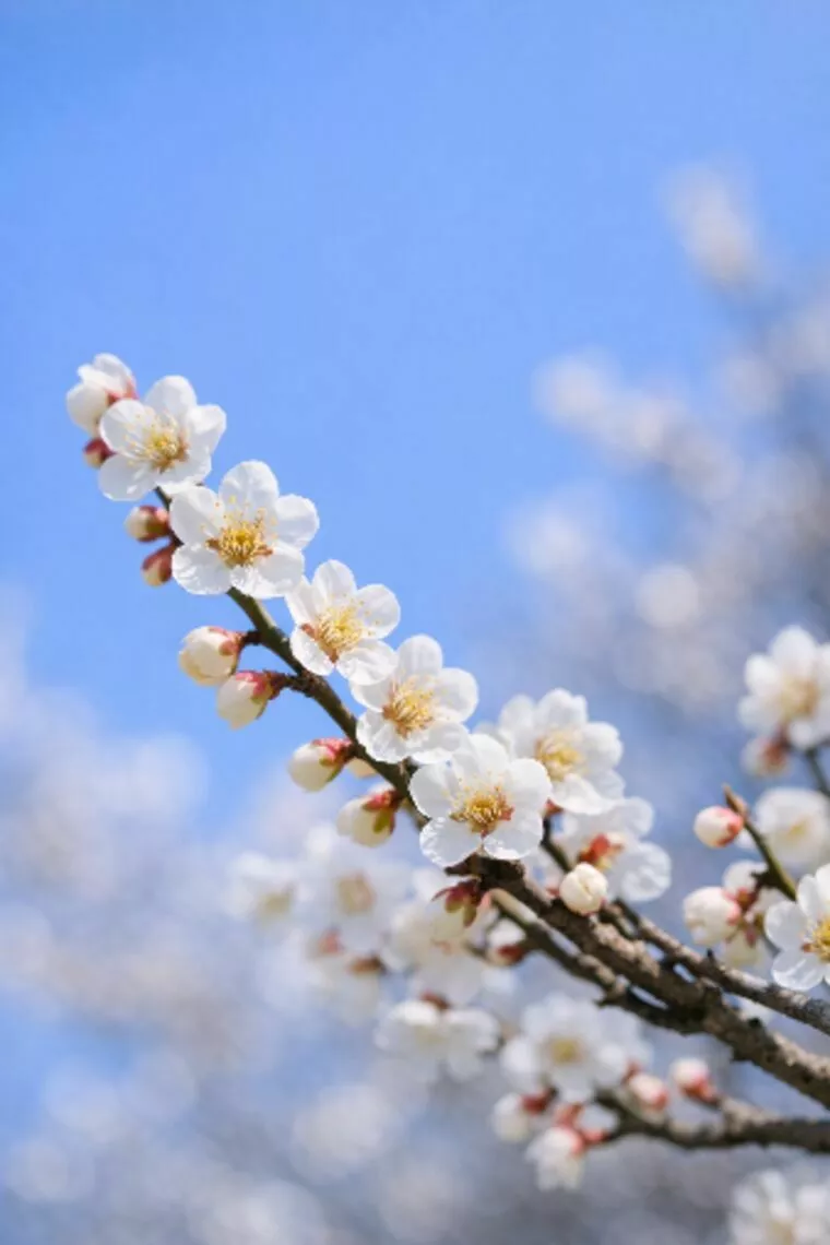 立春～“気持ちを切り替えた人”から　20260210