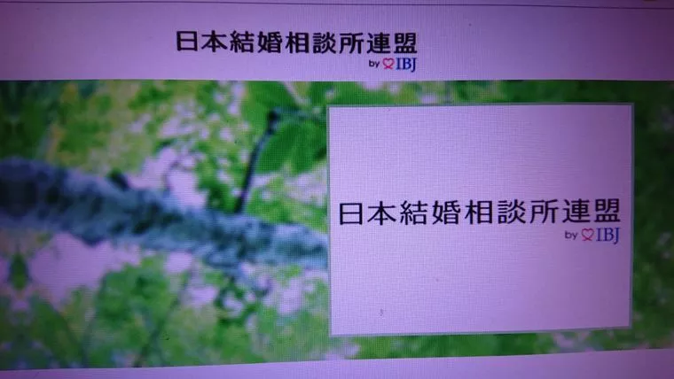 394人の方がお気に入りに!登録２日目にして！