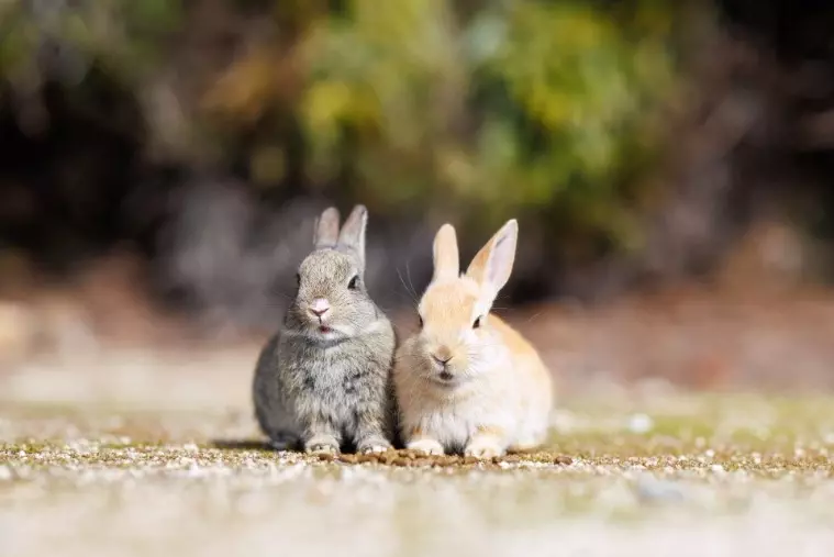 ブランシュール東海「再婚活における「感情の整理」と「戦略」について考えよう！」- 2