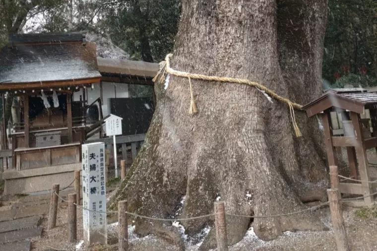 【独身対象】開運祈願ミステリーツアー開催！！