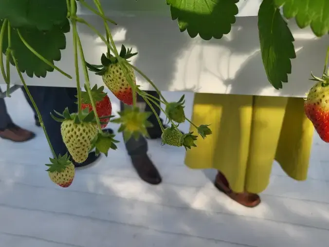 Applause（アプローズ）「ご縁が結ばれた2日間♡出雲婚活ツアーレポート」- 4