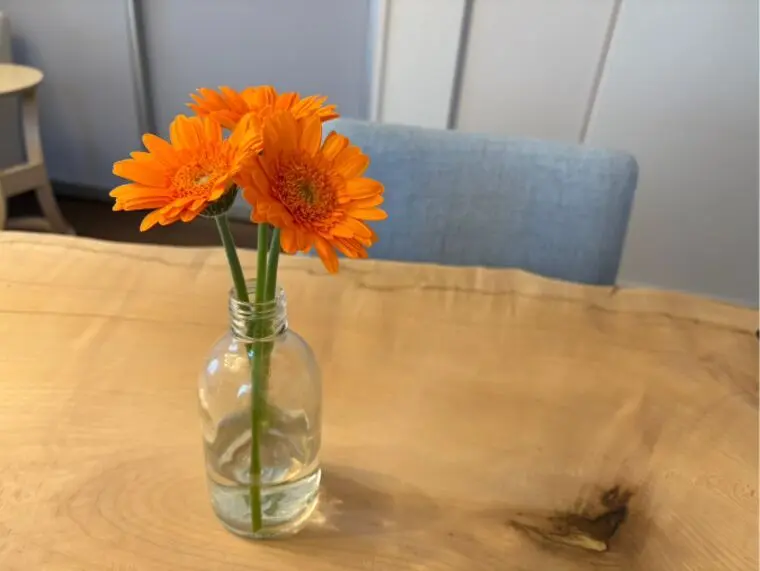 【婚活お悩み相談】アプリ、パーティー、進展しない関係・・