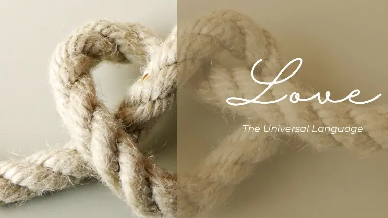 男子目線の女子力とは？婚活で選ばれる条件