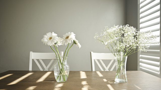 サンマリエ京都（ULP結婚相談所）「結婚のお相手さがし。親の【願い】と私の【本音】」- 3