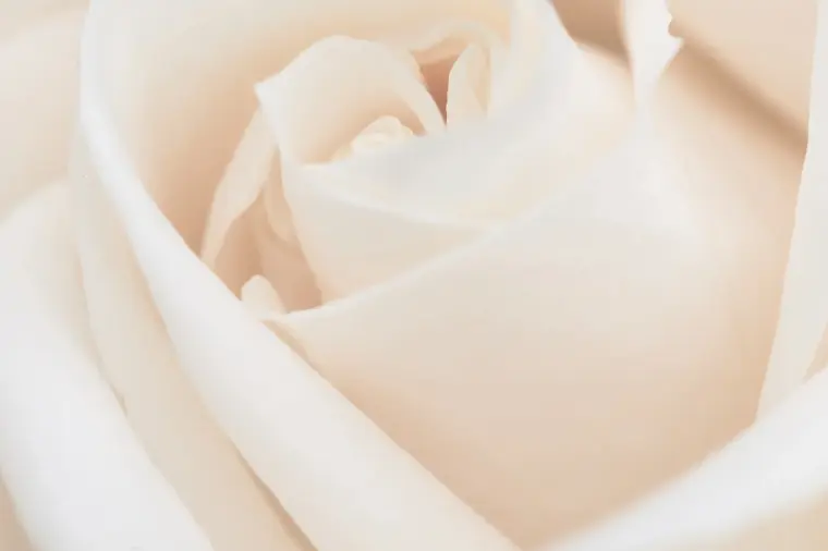 夫婦は一番近い他人 それでも家族になる