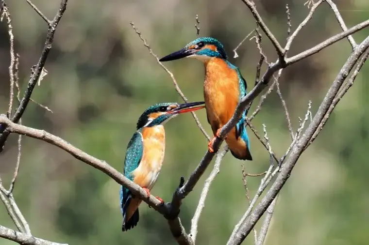 ブランシュール東海「ストレスフリーなLINE頻度ってどれくらい？」- 2