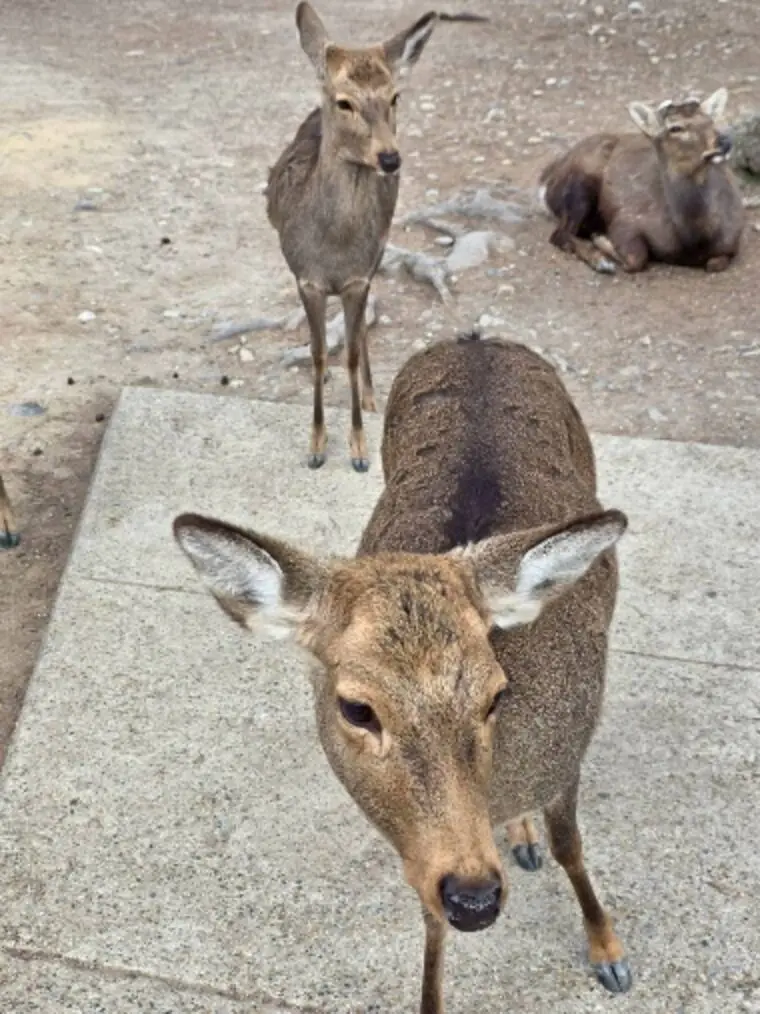 お勧めのお出かけデートスポット💛