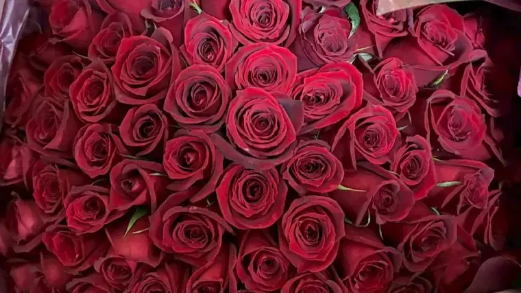 EliYume結婚相談所「34日で同世代年収2000万円以上のハイスぺ男性とご成婚」- 3