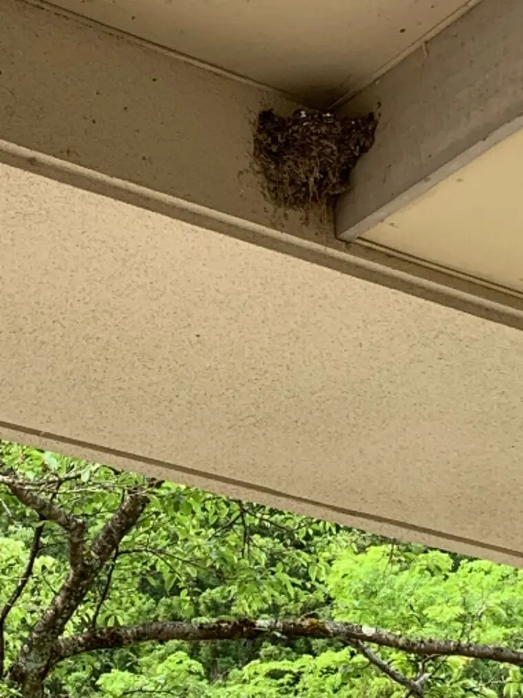 雨がやっと降りました☔