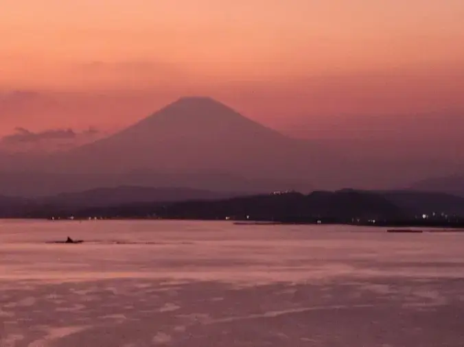 マリアージュ幸「40代女性の成婚率が上昇中！結相談所を選ぶべき3つの理由」- 2