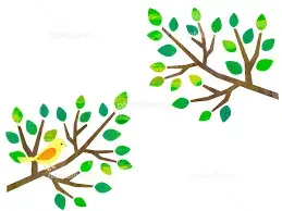 関西ブライダル「足りないものは何ですか？」- 2