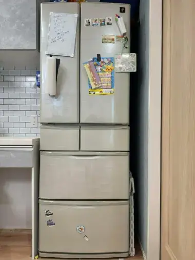 埼玉結婚相談所　いち婚「独りなのに、家族用の冷蔵庫を買ったあの日のこと」- 2