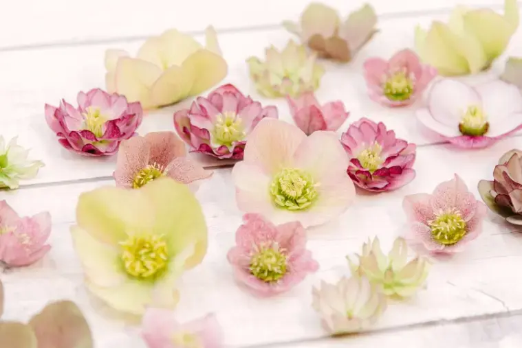 Sweetsmarry（スィーツマリー）相談所「【Yahoo!ニュース掲載後によくいただくご相談とは？」- 4