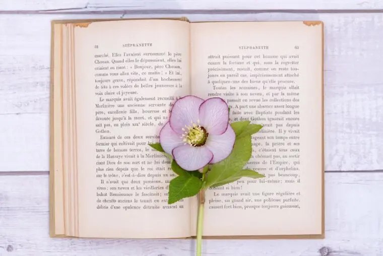 【よくいただく質問】無理に入会をすすめられませんか？