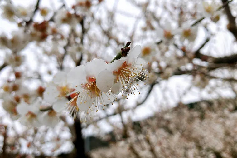 En loopの活動エリアについて