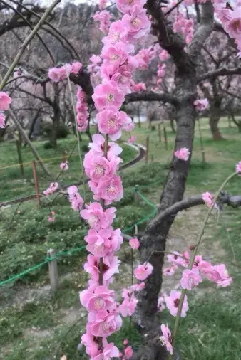 Enloop「En loopの活動エリアについて」- 2