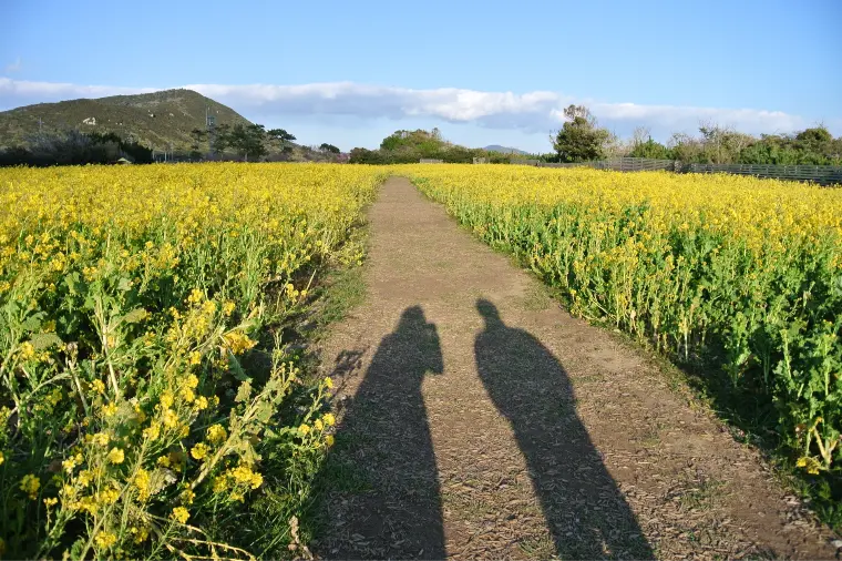 3月に婚活が止まる人の共通点 