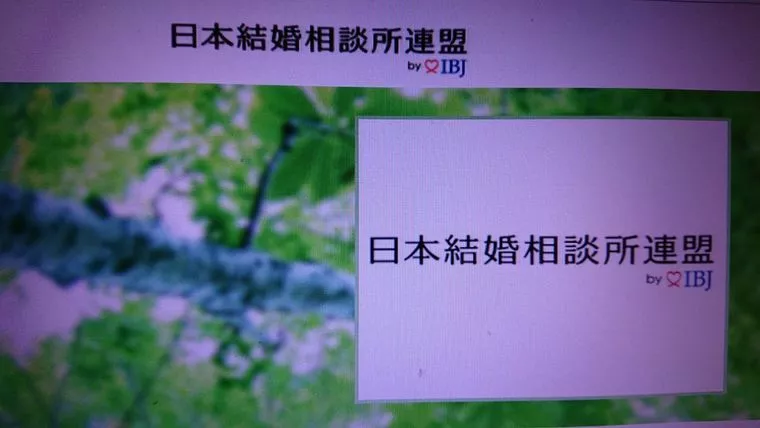 お見合い料金5000円で22件お見合い受けはりました!