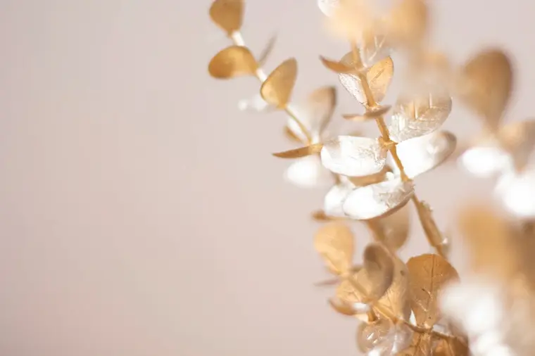 結婚相談所で成婚する女性の共通点7つ