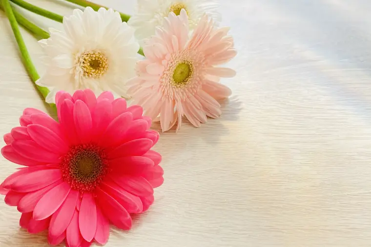 №1671　大震災15年に思うこと