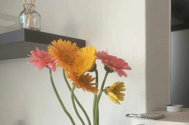 晴耕雨読～時には長めの距離感で