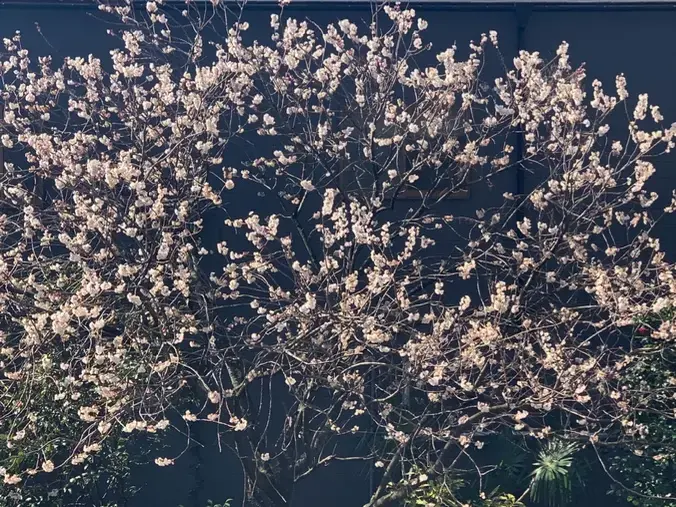 アトラクティブスタイル「女性必見！理想の男性から選ばれなかったらどうする？😊」- 2