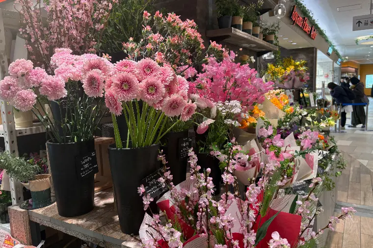 仙台結婚相談所からの他人事ではない老後貧困のアドバイス