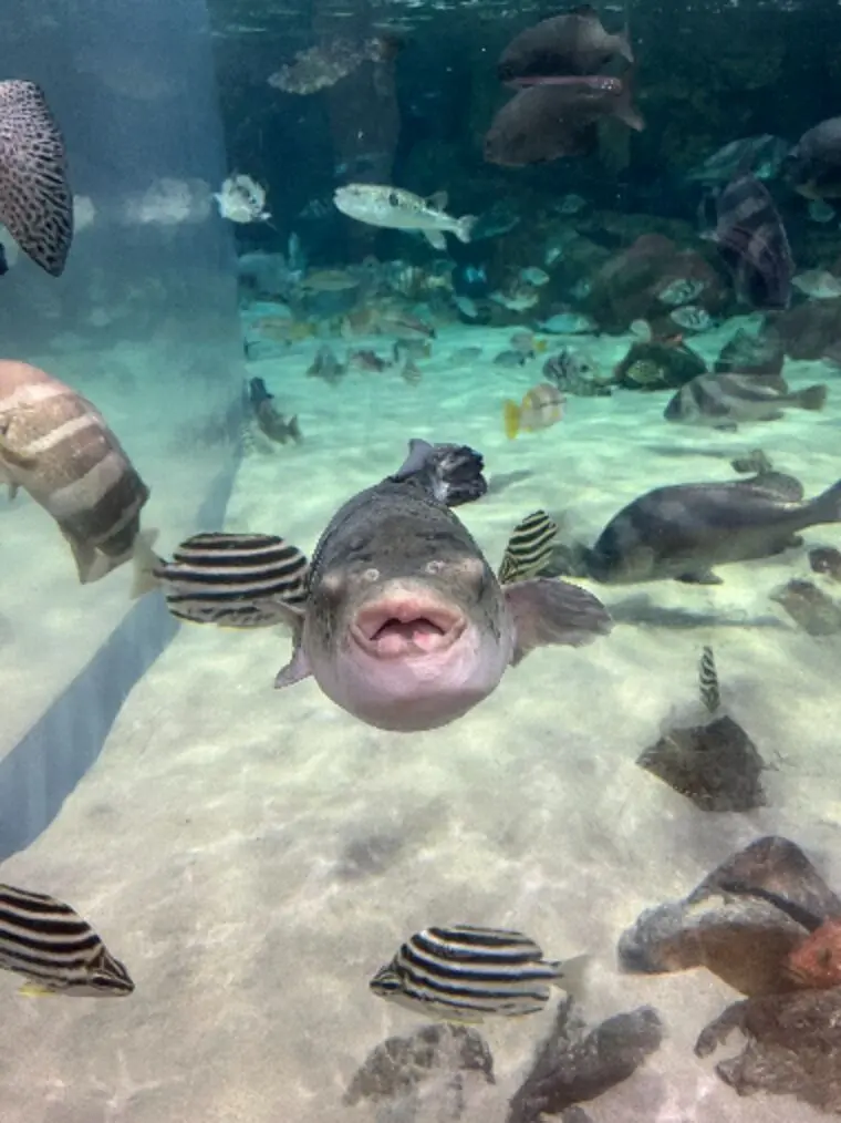 お見合い通過。ここから９割の男性は悩みます・・・